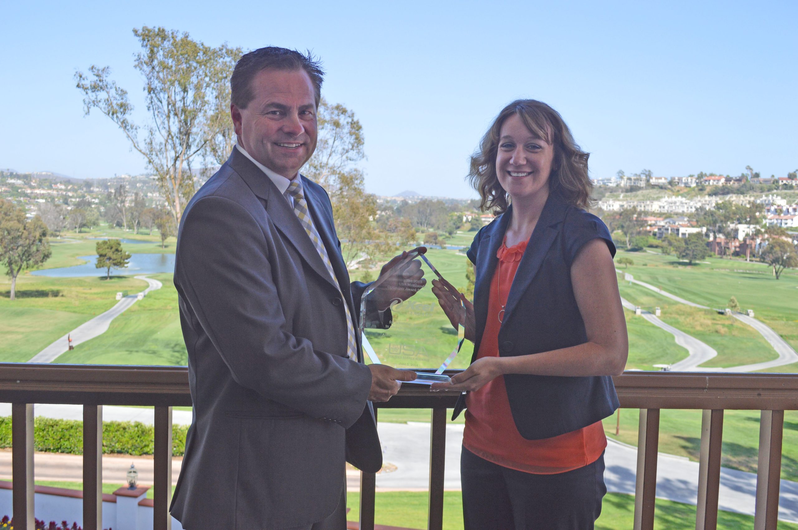 Xcel Energy wins 2013 Optimizer Award