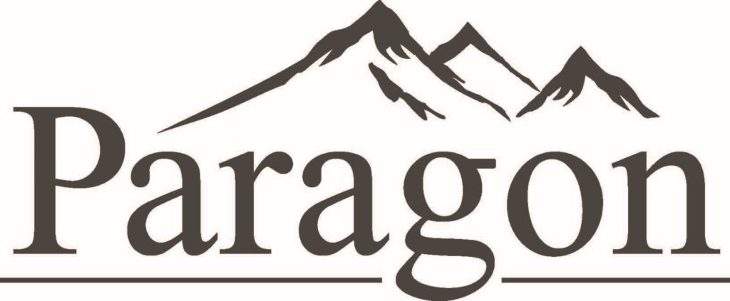 paragon-logo-grey-1024x423